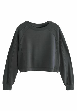 Mørkegrå cropped sweatshirt med lange raglanærmer og ribbekanter ved ærmer og hals, vist på en hvid baggrund.