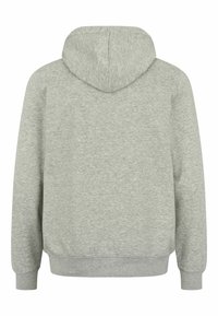 Sweat à capuche gris clair à manches longues, poignets et ceinture côtelés, vu de dos sur fond blanc.