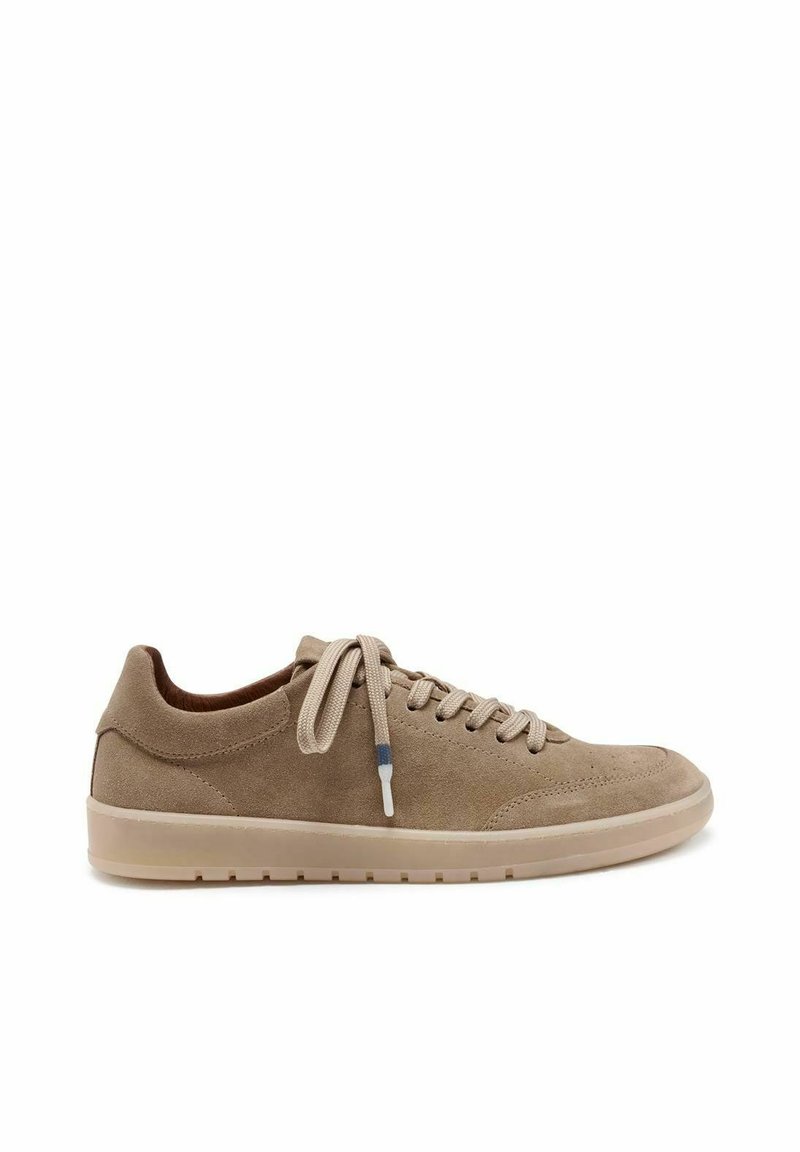 Pavement JUSTIN - Tenisice - taupe suede