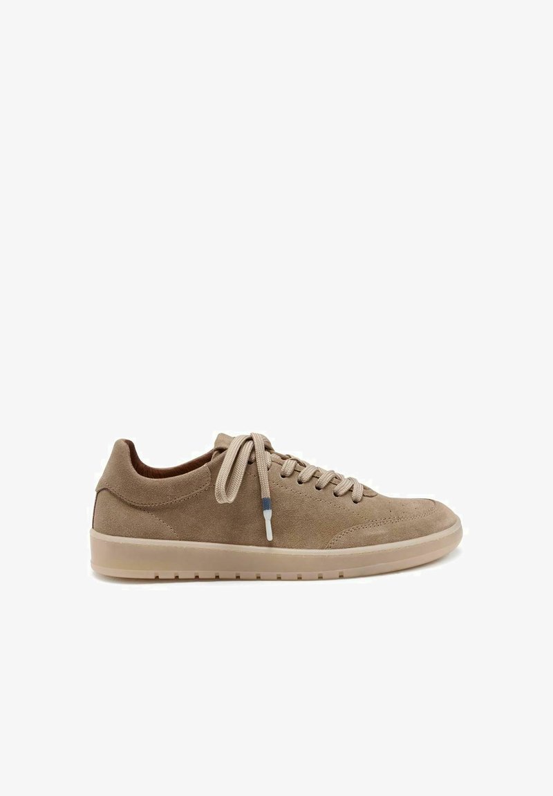 Pavement JUSTIN - Sneakers basse - taupe suede