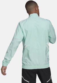 Hellgrüner Windbreaker mit hohem Kragen, elastischen Bündchen und einem weißen Akzentdesign. Hergestellt aus glattem, leichtem Stoff.