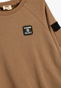 Brązowa bluza z okrągłym dekoltem, z czarną kwadratową naszywką z napisem "FUTURE NOW WORLDWIDE ORIGINALS". Miękka tekstura, casualowy design.