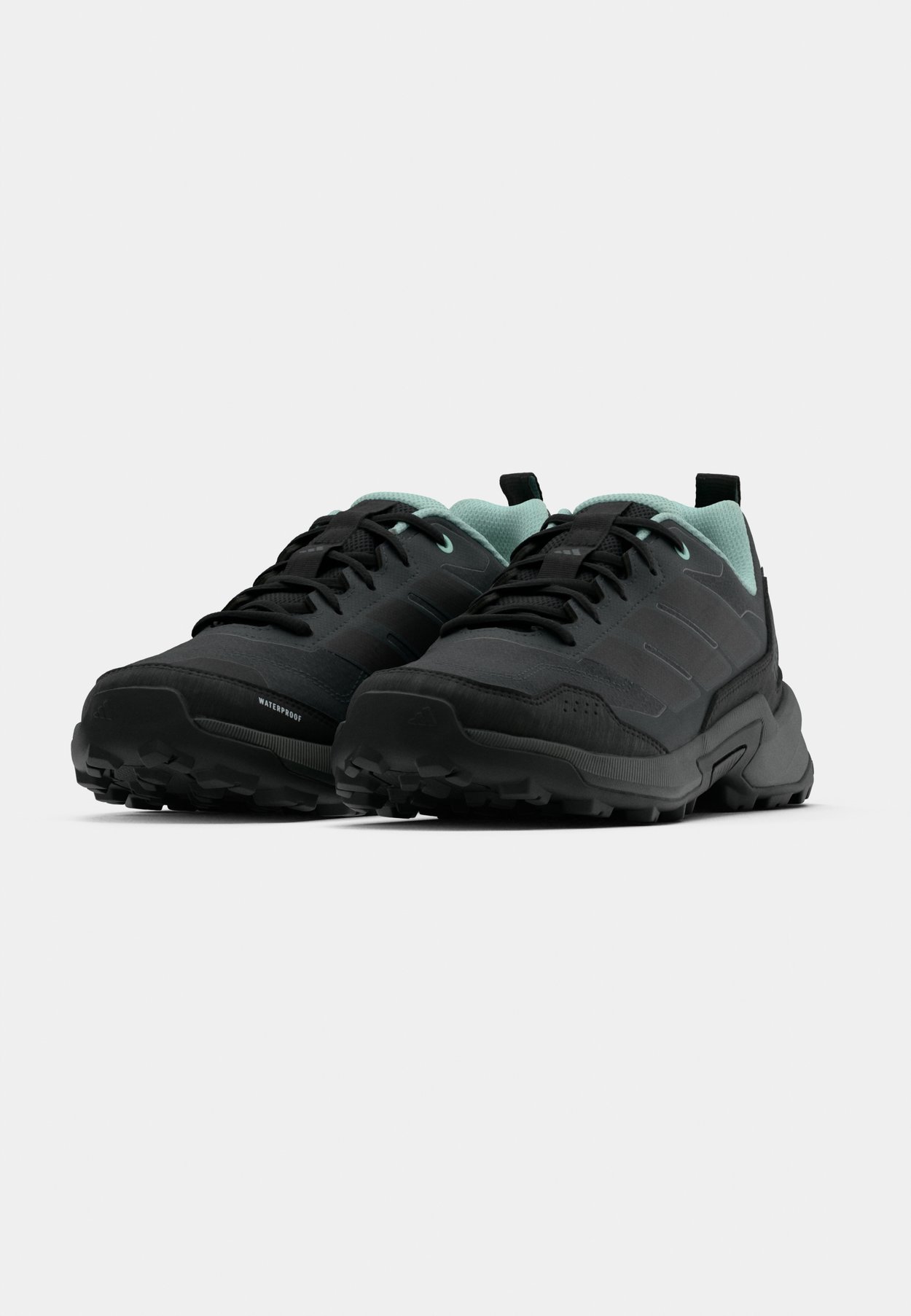 EASTRAIL 3
