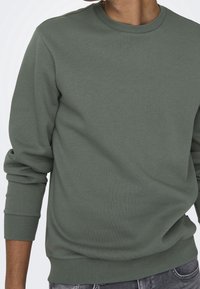 Sudadera verde de algodón con cuello redondo, mangas largas y puños acanalados. Presenta una textura suave y un ajuste cómodo.