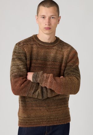 Levi's®, PRESIDIO CREW - Пуловер - boucle coffee boucle