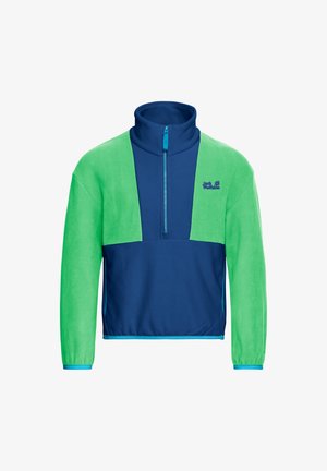 Fliso striukė su pusiau užtrauktuku, aukštu apykakliu, ilgomis rankovėmis mėlynos ir žalios spalvų, su mažu logotipu ant krūtinės.