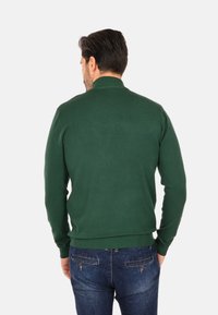 Maglione verde lavorato a maglia con collo alto e polsini a costine, visto da dietro. Tessuto liscio, design aderente, abbinato a jeans di denim blu.