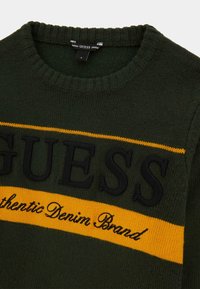 Maglione verde lavorato a maglia con logo nero e striscia gialla con la scritta "Authentic Denim Brand". Design classico con collo a giro.