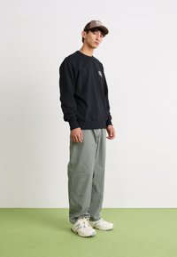Dickies AITKIN CHEST UNISEX - Sudadera - black/plum