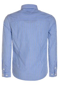 Langarmshirt met lichtblauwe en witte verticale strepen, een gestructureerde kraag, knoopmanchetten en een gegolfde zoom. Van katoen.