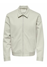 ONSJAKES - Giacca leggera - silver lining