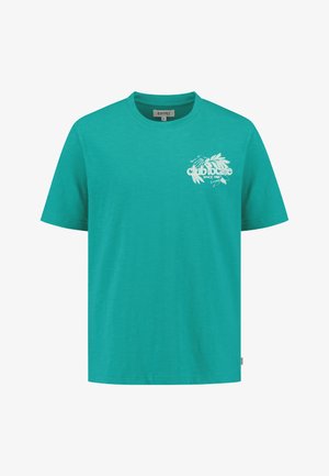 Türkiissinine puuvillane T-särk ümarast kaelusest, lühikeste varrukatega ja ees oleva hõbedase graafikaprindiga, mis sisaldab lehti ja teksti.