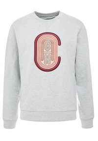 Sudadera gris hecha de tela suave, con un prominente logo bordado en tonos rojos y naranjas, y puños y cuello de canalé.