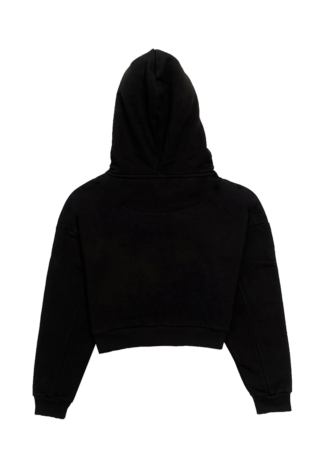 PLT×KARL KANI★EMBROIDERED CROP HOODIE Karl Kani CROP HOODIE SMALL SIGNATURE ESSENTIAL - Zip-up