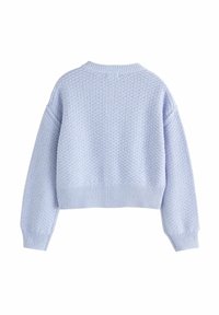 Pull tricoté bleu clair à manches longues, avec poignets, ourlet et col côtelés, vu de dos sur fond blanc.