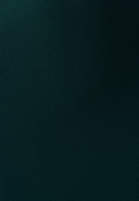 TUSSAH Maxi šaty - dark green