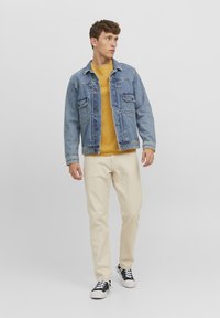 Jack & Jones JJEHILL CREW NECK  - Strickpullover - honey gold