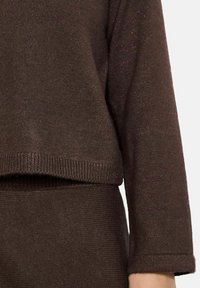 Pruun sviiter, millel on veidi sädelev tekstuur, lühendatud disain, soonikkoes lõpud ja pikad varrukad. Kanga peal on peened värvilised täpid, mis täiustavad materjali.