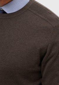 Brun stickad tröja med rund halsringning, med texturerade axelpartier och en slät yta. Bärs över en ljusblå skjorta med krage.