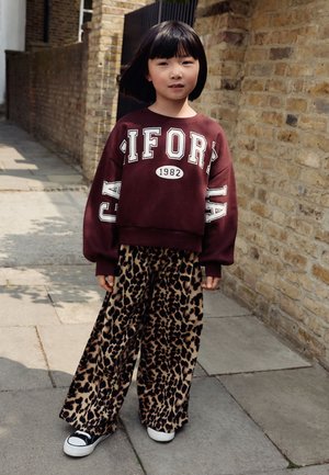 Next VARSITY SET - Sportinis megztinis - burgundy red