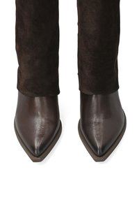 Hnědé kožené kotníkové boty s špičatou špičkou a hladkou texturou. Svršek doplňuje měkká tmavě hnědá semišová část nad kotníkem.