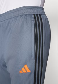 Grijze sportbroek met zwarte strepen aan de zijkanten, voorzien van een oranje geborduurd logo. Het materiaal lijkt glad met een lichte glans.