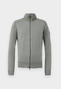 Light gray knitted zip-up sweater with a stand collar, textured paneling on shoulders, and ribbed cuffs and hem.