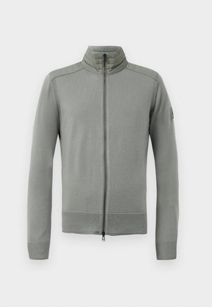 Light gray knitted zip-up sweater with a stand collar, textured paneling on shoulders, and ribbed cuffs and hem.