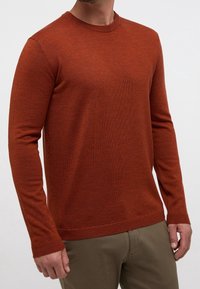 Röd tröja i mjukt stickat material. Rund hals, långa ärmar, ribbade mudd och nederkant. Modellen står mot en neutral bakgrund.