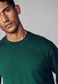 Grüner Baumwoll-Pullover mit Rundhalsausschnitt und glatter Textur, klassischem Design und dezenten Nähdetails am Halsauschnitt.