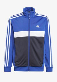 adidas Performance TIBERIO UNISEX niebieski