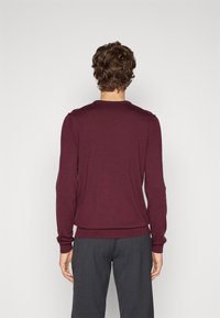 Homme aux cheveux bouclés bruns portant un pull ajusté bordeaux et un pantalon gris foncé, debout de dos devant un fond uni.