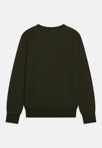 Pullover oscuro verde realizzato in morbido cotone, con collo rotondo, maniche lunghe e polsini a costine. Nessun motivo grafico o accenti.