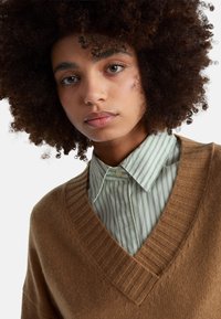 Brauner Strickpullover mit V-Ausschnitt, getragen über einem hellgrün-weiß gestreiften Hemd mit Kragen. Strukturierte Stoffdetails sichtbar.