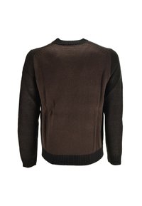 Maglione marrone lavorato a maglia con maniche nere testurizzate e polsini a coste, caratterizzato da una scollatura rotonda e un design posteriore semplice.