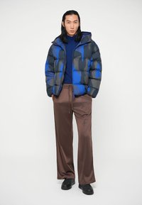 EA7 Emporio Armani MOUNTAIN ECO HOODED JACKET GRAPHIC - Jachetă de iarnă - fancy blue