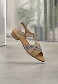 Επιλέχθηκε, sattel/rame