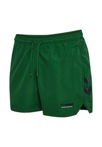 Gröna träningsshorts gjorda av lättviktigt tyg, med elastisk midja, dragsko och svarta chevron-accenter på sidorna.