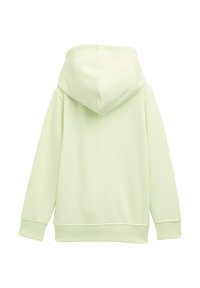 Hellgrüner Kapuzenpullover mit glatter Textur, langen Ärmeln und entspannter Passform. Keine sichtbaren Muster oder Hardwaredetails.
