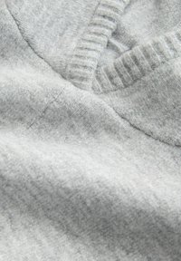 Trükipildiga T-särk - grey