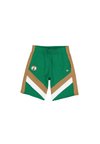 NBA BOSTON CELTICS PANEL SHORT - Sporto klubų atributika - green