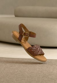 Δεν επιλέχθηκε, camel