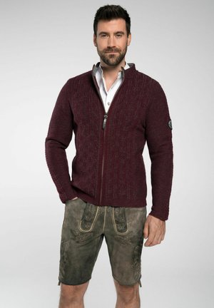 Burgunderfarbener Strickcardigan mit einem Reißverschluss auf der Vorderseite, der ein strukturiertes Muster aufweist. Kombiniert mit grauen Leder-Shorts, die mit dekorativen Nähten verziert sind.