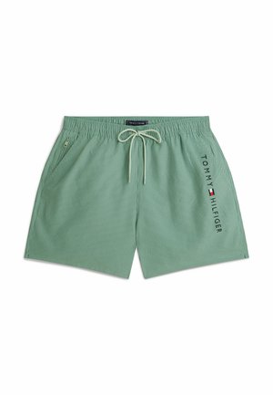 Tommy Hilfiger, TH ORIGINAL-S MEDIUM DRAWSTRING ITHACA ZIP - Badeshorts - army green   minty grey ithaca