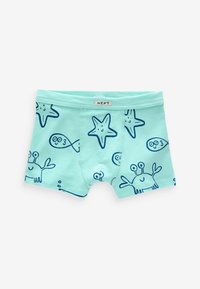 Next SOFT WAISTBAND 5 PACK - REGULAR FIT - Panties - seaside print