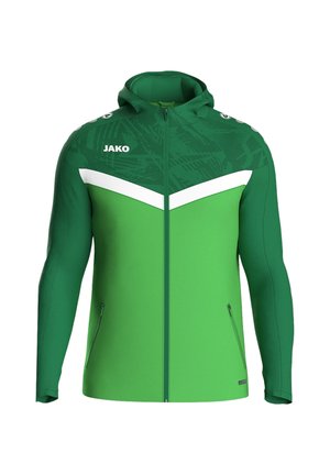 FUSSBALL-TEAM ICONIC KAPUZEN - Sweat zippé - gruen