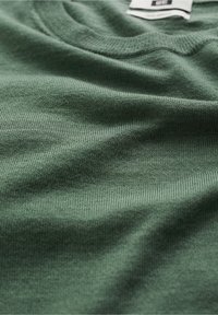 Grön bomulls-T-shirt med mjuk textur, utrustad med en ribbad rund halsringning och en slät, jämn yta. Inga synliga mönster eller prydnader.