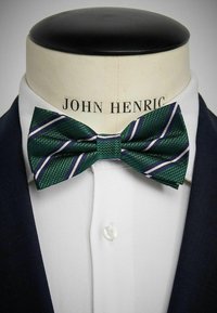 Grön strukturerad fluga med vita och marinblå ränder, utställd på en mannequins krage över en vit skjorta och mörk kostym.