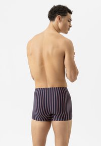Navy striped boxer shorts with red accents, featuring a fitted design and elastic waistband, displayed from the back on a model.