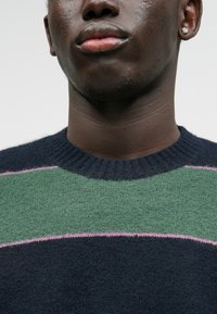 Maglione lavorato a maglia con strisce orizzontali blu navy, verdi e rosa e un collo girocollo a coste. Il materiale appare morbido con una finitura testurizzata.